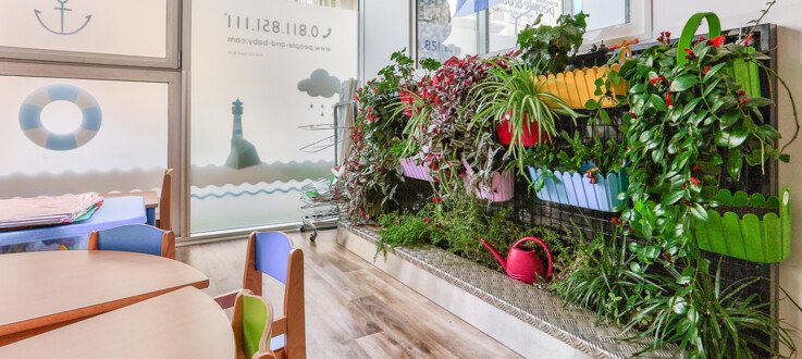 Les murs végétaux : une initiative 100 % « Génération durable » Les murs végétaux : une initiative 100 % « Génération durable »