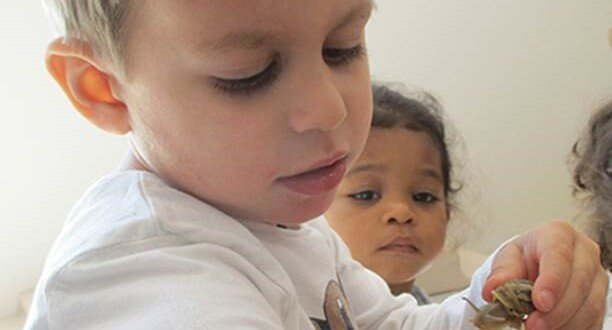 Les animaux au cœur de nos crèches : des rencontres riches en émotions ! Les animaux au cœur de nos crèches : des rencontres riches en émotions !