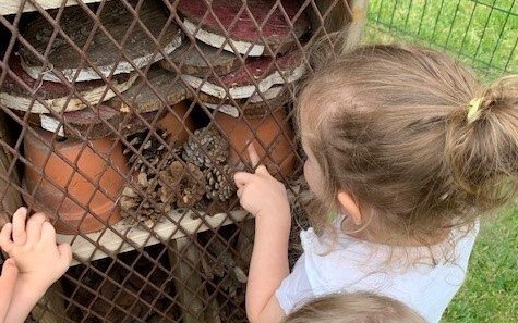 A la crèche de Carvin, les insectes dorment à l’hôtel !