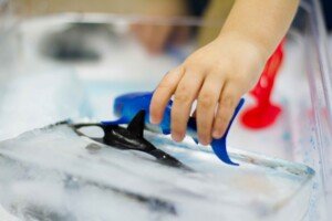 Activité d’été : réaliser des jouets glacés